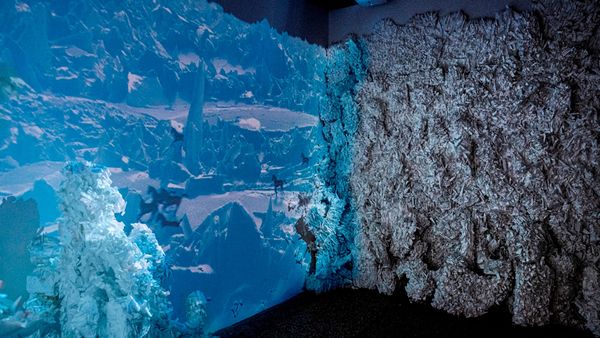 Take Your Practice to New Heights With SVA Continuing Education