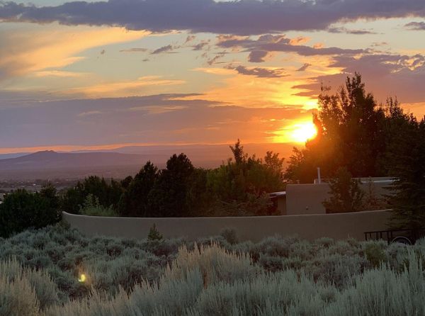 Can a Mother Devote Her Life to Art?