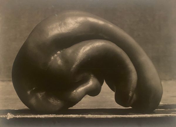 The Art, Politics, and Pleasures of Food