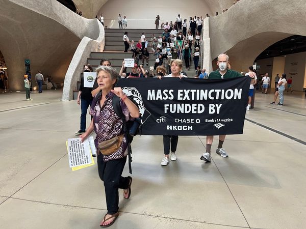 Protesters at New York's Natural History Museum Warn of "Mass Extinction"