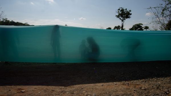 How an Artist Can Embody Human Rights