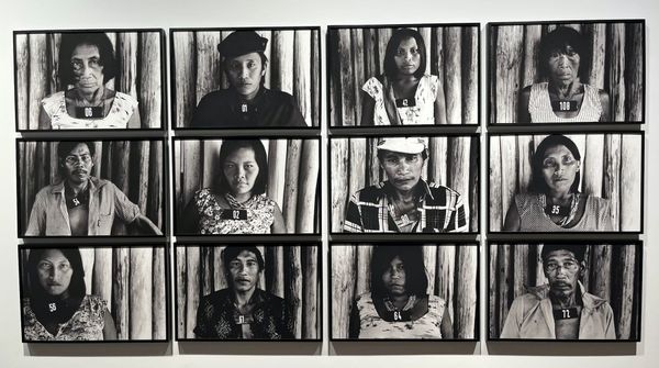 The Pleasures and Perils of the Amazon Rainforest