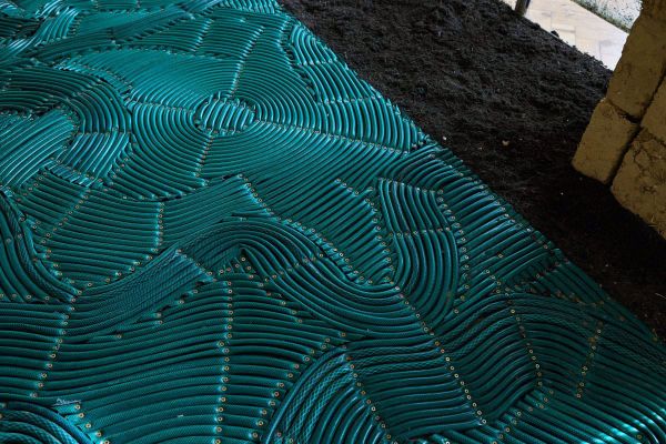 An Artist’s Ode to Worms