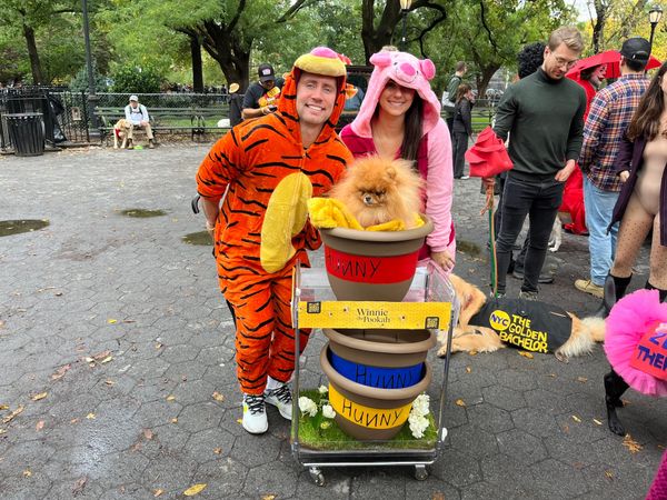 Tompkins Halloween Dog Parade Returns With Biggest Crowd Ever