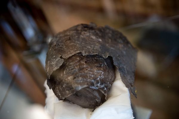 Student Uses AI to Read Ancient Scroll