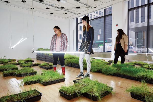 Explore Graduate Study at the School of the Art Institute of Chicago