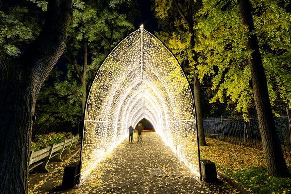 A nighttime photograph of an arched cathedral tunnel made of thousands of tiny bright white Christmas tree lights in Brooklyn