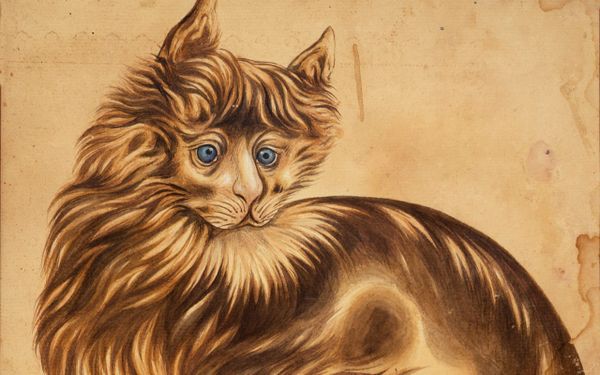 A History of Cats in Indian Art