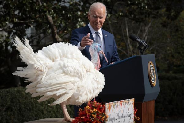 The Bizarre Photos of Biden’s Turkey Pardoning Ceremony
