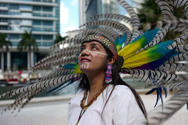 Jorge Pérez Can Build on Ancient Indigenous Site in Miami