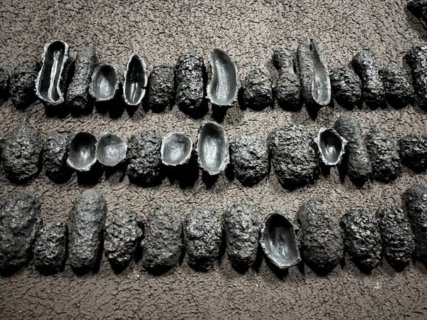 Delcy Morelos Embraces Heaven and Earth