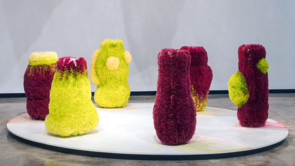 University of Florida Offers a Funded MFA in Studio Art