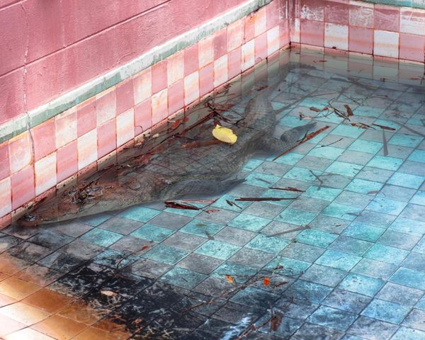 Your Candid Guide to Miami Art Week