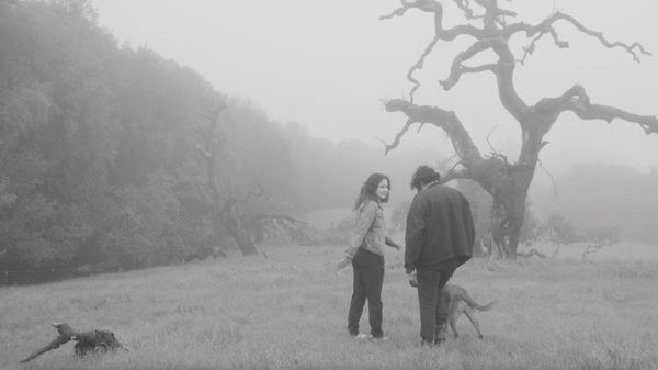 Queer Cinema for Palestine Pushes Back Against Israel’s “Pinkwashing”