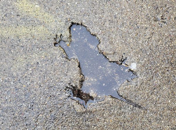 Chicago Rat Hole Spurs a Plethora of Artistic Interventions