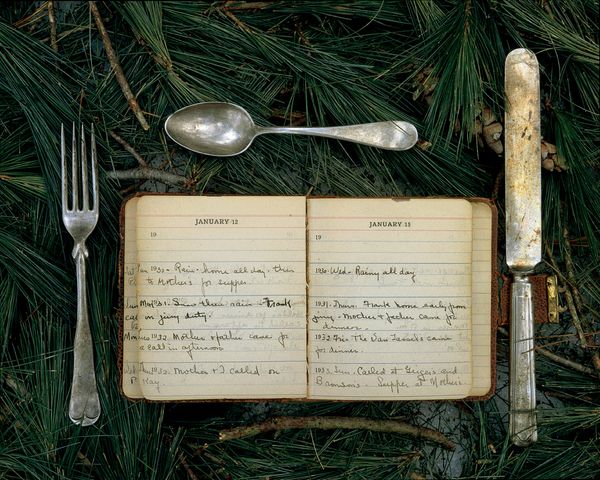 Rose Marasco Captures the Poetry of Domestic Objects