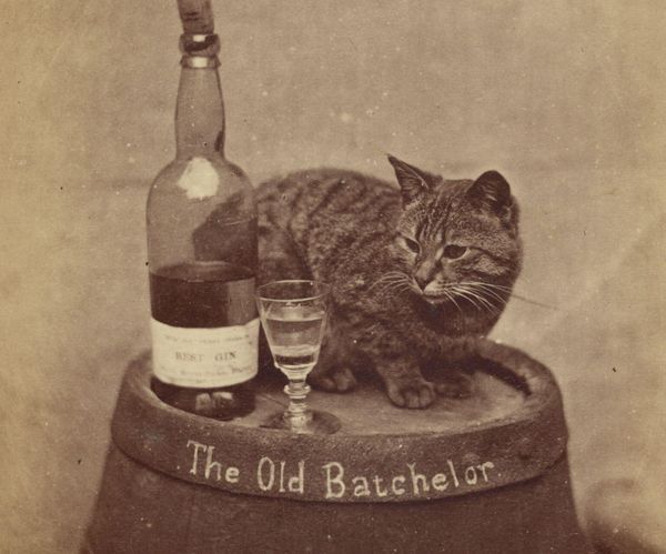 These Are Some of the Earliest Pet Photographs