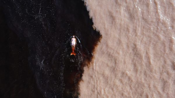 Pink Dolphins Bear Witness to the Amazon’s Destruction