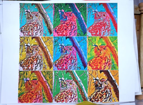 Artists Mourn Death of Flaco, the Owl Who Inspired Millions