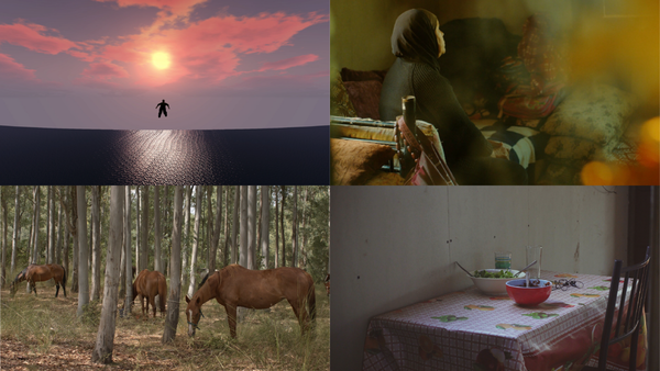 Ann Arbor Film Festival Returns With 110 Films From 31 Countries