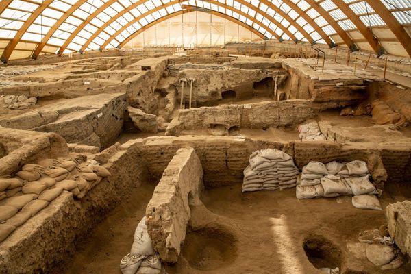Discovery of 8,600-Year-Old Bread Gives Rise to Half-Baked Claims