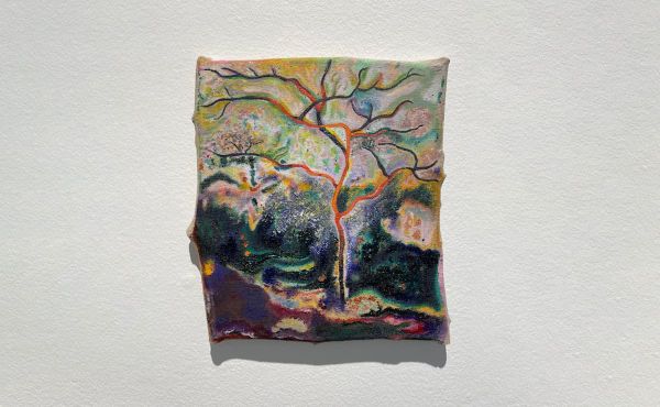 Javier Arce’s Collaboration With the Spanish Wilderness