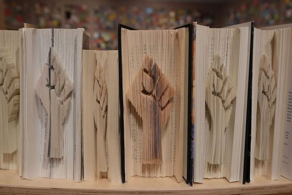 10 Art Shows to See in New York This April