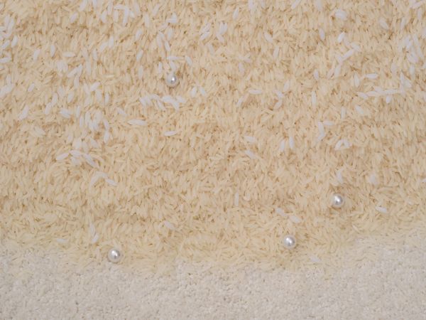 Must Asian Americans Always Be Seen in Relation to One Another?