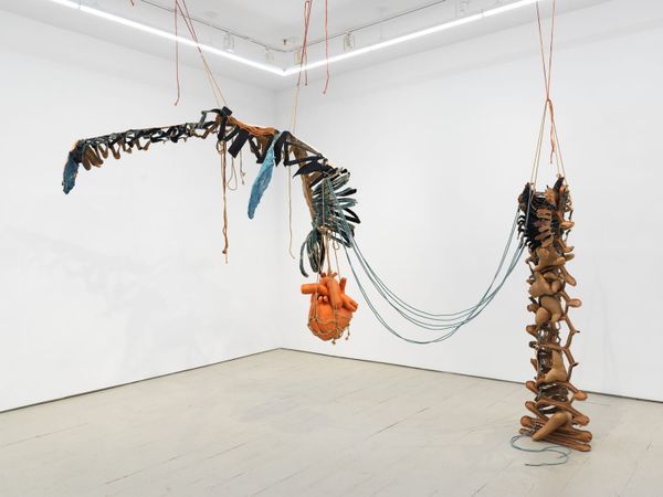 The Bone Magic of Joy Curtis