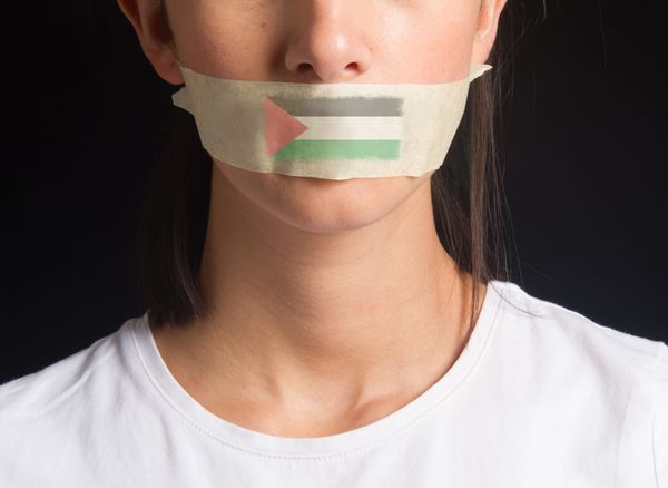 Have Pro-Palestine Artworks Been Censored in Your State?