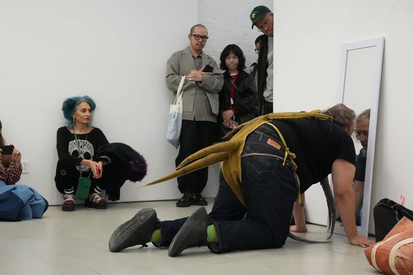 8 Art Shows to See in New York City This May