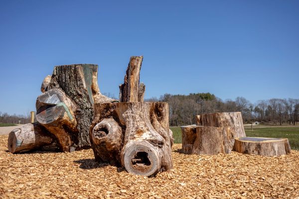 Jean Shin Gifts At-Risk Birds a Safe Perch