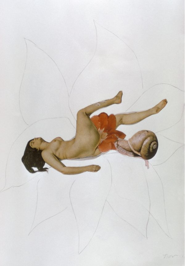 The Miscarriage Collages That Were Too Much for the Art World
