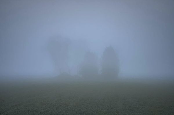 Pratt MFA Photographers Turn Landscapes into Critiques of Power