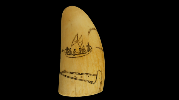 Scrimshaw Takes Over the New Bedford Whaling Museum in Summer Exhibitions
