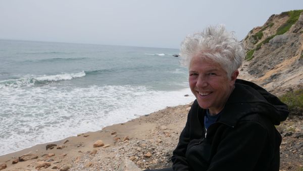 Su Friedrich’s Life in Moving Images