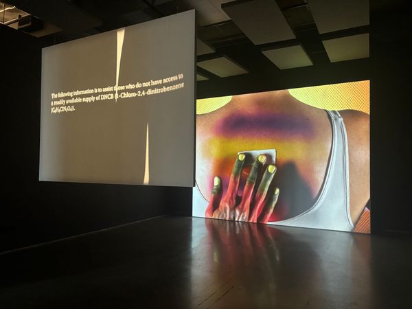 Is Toronto’s Art Triennial Just for Those “In the Know”?