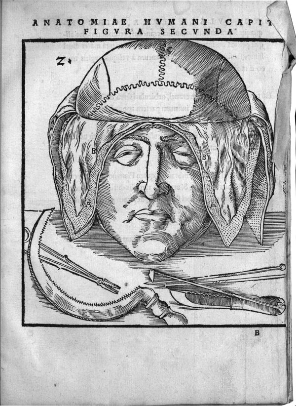 Inside the Life of the Father of Modern Anatomy