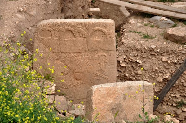 Ancient Stone Carvings in Turkey Could Be the World's Oldest Calendar