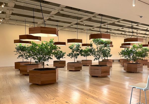 When Hope Is Not Enough for Art