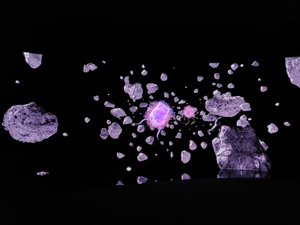 The Universes Within Universes of Josèfa Ntjam