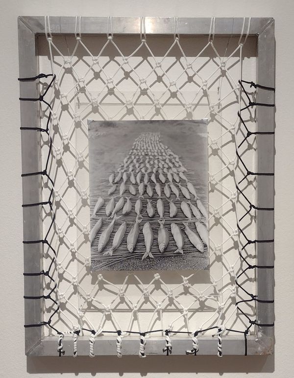 Will There Be Fish This Year?