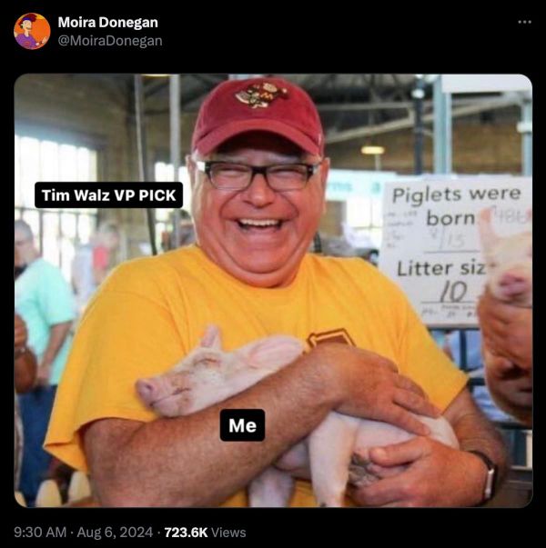 Feel-Good Memes Abound After Tim Walz Named VP Pick