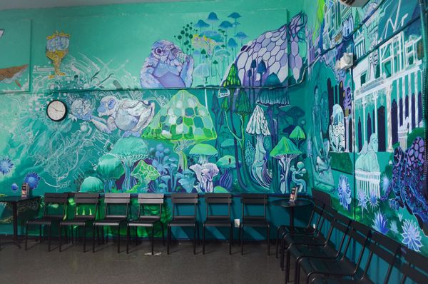 Inside the Bay Area’s Church of Magic Mushrooms