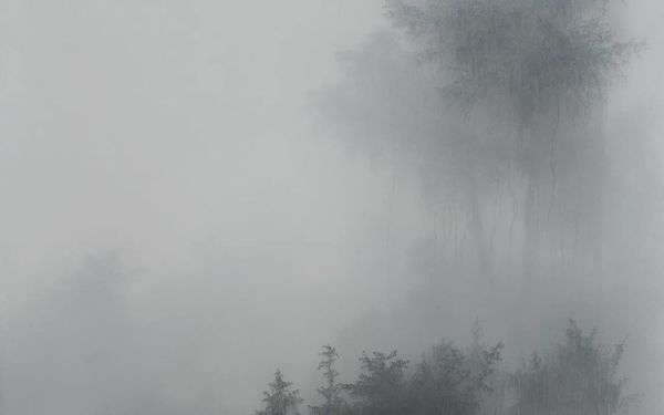 The Mind-Body Split in Kibong Rhee’s Paintings