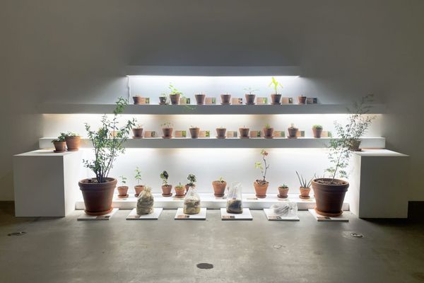 The Relentless Optimism of Beatriz da Costa