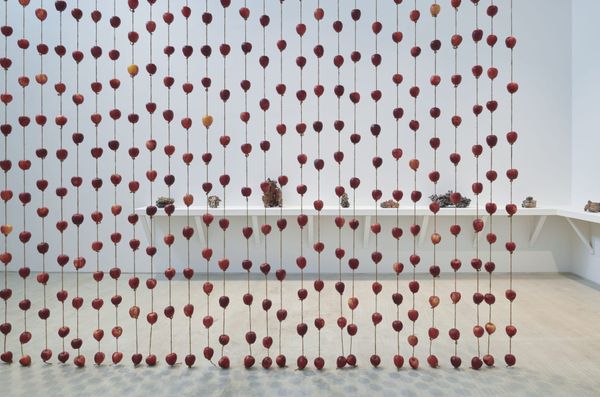 Anya Gallaccio’s Organic Mementos Mori