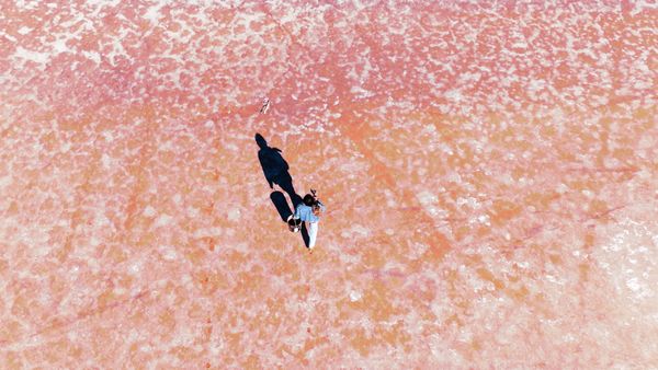 Doug Aitken’s Poetic Tableau of Southern California