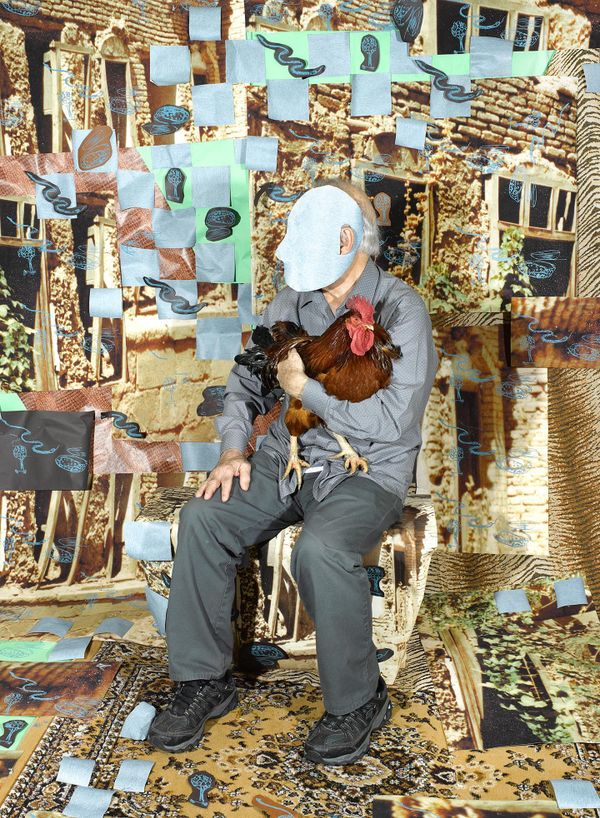 Alternate Landscapes of Diasporic Homelands