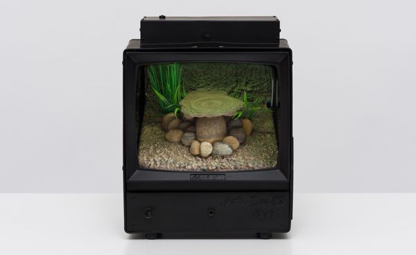 First Major Museum Survey of Carl Cheng Opens at ICA Philadelphia